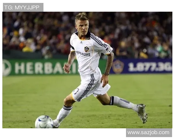 纽约城与波兰特精彩对决直播全程回顾与赛后分析