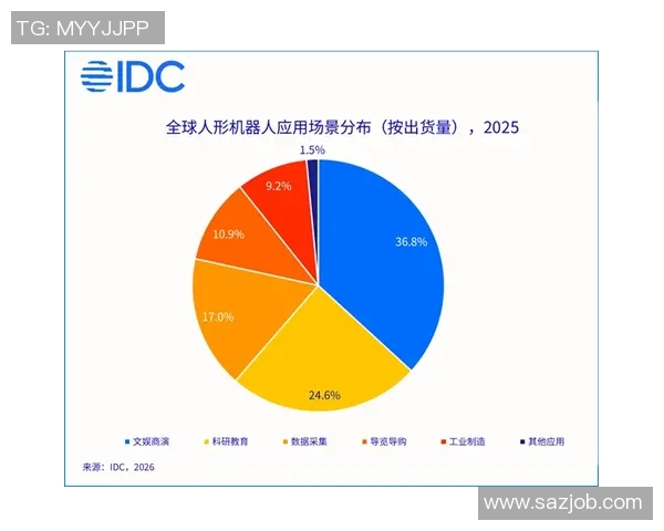 北京排球队灵活性对比分析揭示战术优势与发展潜力MBA