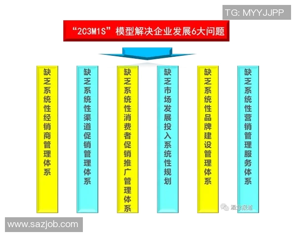 深入分析上海排球队的运营策略与市场推广模式